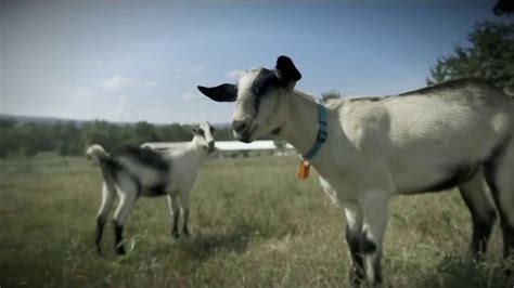 Heifer International TV Spot, 'The Gift of Animals'