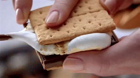 Hershey's TV Spot, 'Family S'mores' Song by Camera Can't Lie created for Hershey's