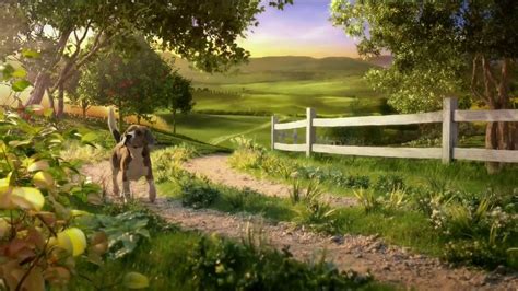 Hill's Pet Nutrition Ideal Balance TV Spot, 'Ingredient Proportions' created for Hill's Pet Nutrition