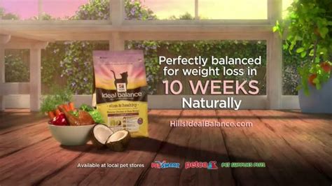 Hill's Pet Nutrition Science Diet Slim & Healthy TV Spot created for Hill's Pet Nutrition