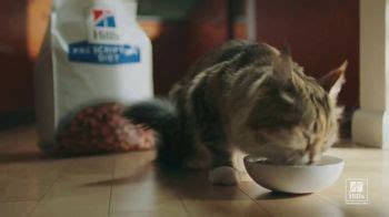 Hill's Pet Nutrition TV Spot, 'Amor extra' created for Hill's Pet Nutrition