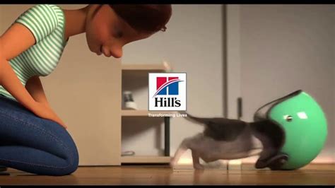 Hills Pet Nutrition TV commercial - Moto: A Love Story