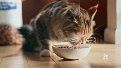 Hill's Pet Nutrition TV Spot, 'Second Chances: Nutrition' featuring Donna Jay Fulks