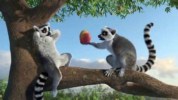Hint TV commercial - Lemurs: 40% Off