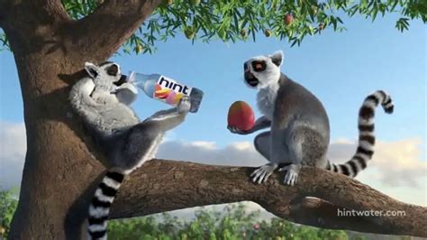 Hint TV Spot, 'Lemurs: Just Like Mango'