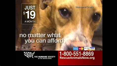 Humane Society TV Commercial For Rescue Animals Now created for Humane Society of the United States