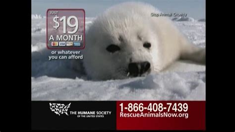 Humane Society TV commercial - Rescue Animals Now