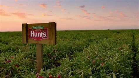 Hunts TV commercial - Tomato Town