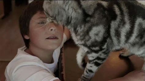Iams TV commercial - Ziggy the Cat