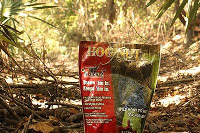 In Sights Hog Nut Attractant