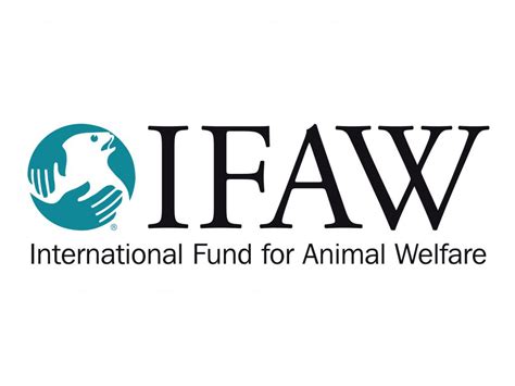 International Fund for Animal Welfare IFAW T-Shirt logo