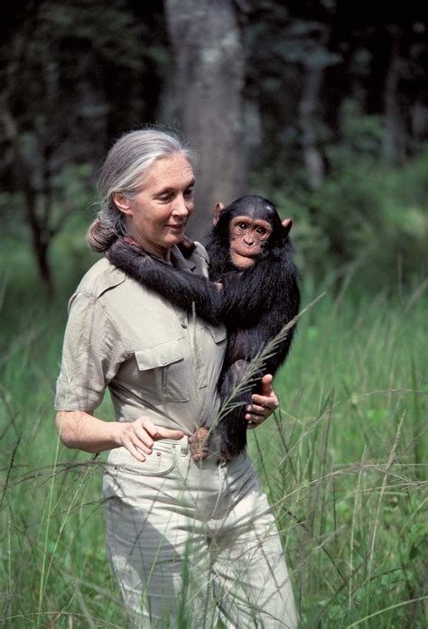 Jane Goodall commercials