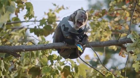Juicy Drop Pop TV Spot, 'Monkey'