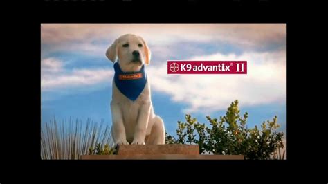 K9 Advantix II TV Commercial for Repelling Ticks created for K9 Advantix II