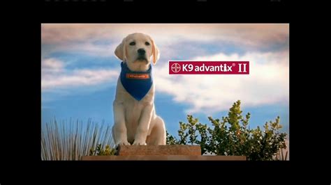 K9 Advantix II TV Spot, 'Tick Nuisance' created for K9 Advantix II
