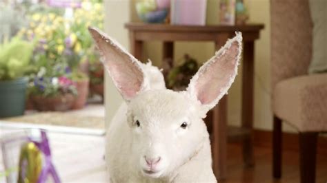 Kmart Easter Shoes TV commercial - Lamb-bit