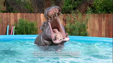 Kmart TV commercial - Hippo