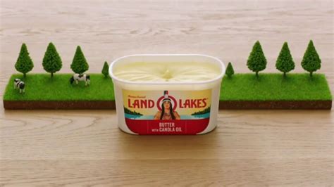 Land OLakes TV commercial - From Our Dairies to Your Dinner
