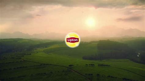 Lipton TV commercial - Tea Factory