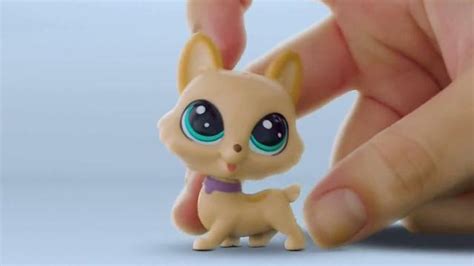 Littlest Pet Shop Pets TV Spot, 'Shimmer & Glimmer'