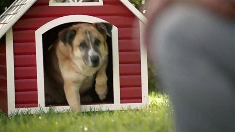 Lowe's TV Commercial For Dog House featuring Ben Yannette