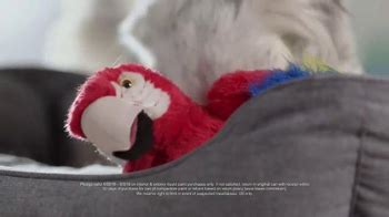Lowes TV commercial - Parrot: Sparky