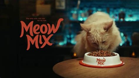 Meow Mix TV Spot, 'Heart & Paws' featuring Devyn Rush
