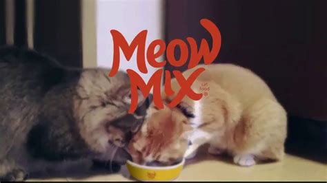 Meow Mix TV Spot, 'Litter Boxes and the Vault'