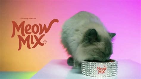 Meow Mix TV Spot, 'Remix: Luna'