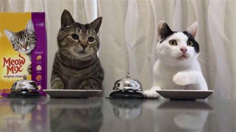 Meow Mix TV Spot, 'Standing Cat' created for Meow Mix