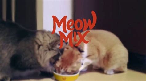 Meow Mix TV Spot, 'We'll Never Figure Them Out: Party'