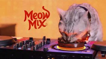 Meow Mix Tasty Layers TV commercial - HouseKäat Dance Mix