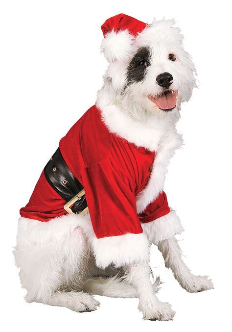 Merry & Bright Collection Holiday Santa Claus Pet Costume