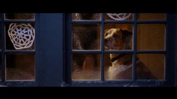 Microsoft Corporation TV Spot, 'Holidays: Find Your Joy: A Dog's Dream' Song by Supergrass