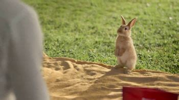 Milk-Bone Dipped TV commercial - Rabbit