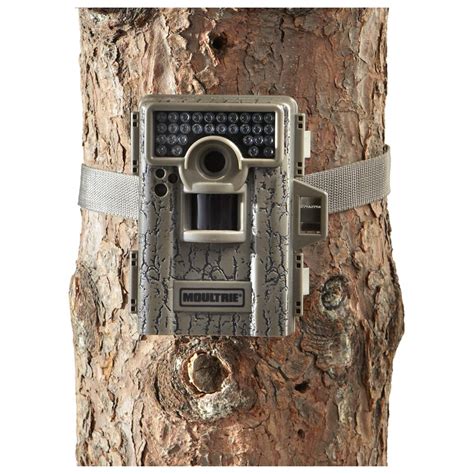 Moultrie M-880 Mini Game Camera TV Spot, 'Know it All' created for Moultrie