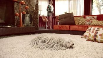 Nest TV Spot, '127 Willow Lane Has Had Some Work Done'