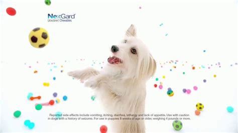 NexGard Chewables for Dogs TV commercial - La felicidad de los perros
