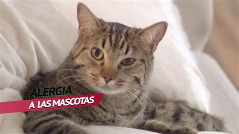 Next TV Spot, 'Alergia: gato'