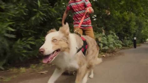 Off! FamilyCare Smooth & Dry TV commercial - Walk the Dog Your Way