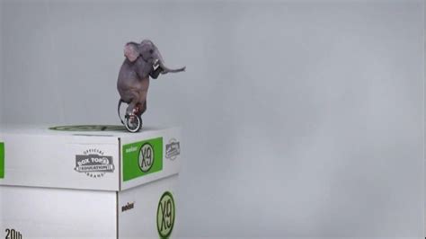 Office Max TV Spot, 'Unicycling Elephant' created for Office Depot & OfficeMax