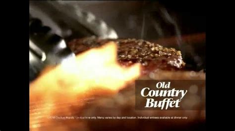 Old Country Buffet TV Spot, 'New Entrees'
