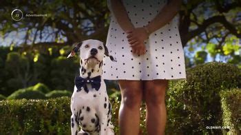 Old Navy TV Spot, 'Dog Wedding: Spring Dresses' Song by ALLISTER X, Love Lola Love featuring Dontrell Griffin