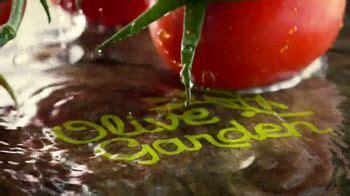Olive Garden TV Spot, 'La salsa es el alma' created for Olive Garden