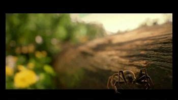 Ortho Home Defense TV commercial - Our World is Spectacular: Wolf Spider