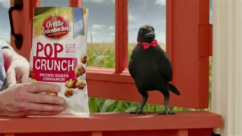 Orville Redenbachers Pop Crunch TV commercial - Talking Crow