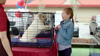 PETCO TV Spot, 'Love at First Sight: Connect' featuring Andrew Creightney