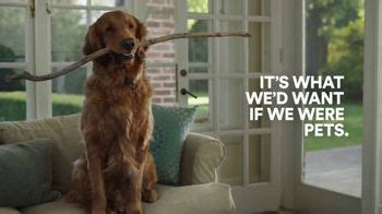 PETCO Whole Hearted TV Spot, 'What We'd Want If We Were Pets: Big Stick' created for PETCO