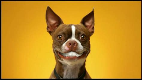 Pedigree Dentastix TV Spot, 'Doggie Dentures' created for Pedigree