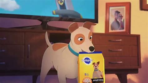 Pedigree Small Dog Complete Nutrition TV Spot, 'Paw Patrol: Pup Hero Adventures' created for Pedigree
